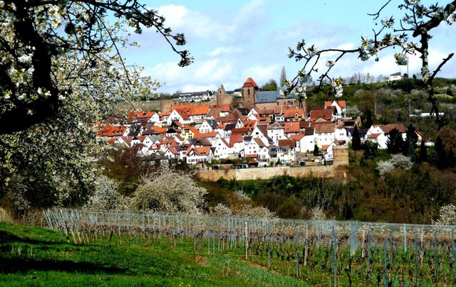 Blick nach Neuleiningen